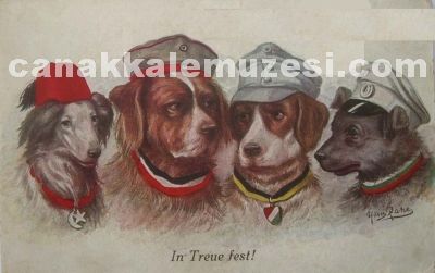 Resmi Bytmek iin tklayn...